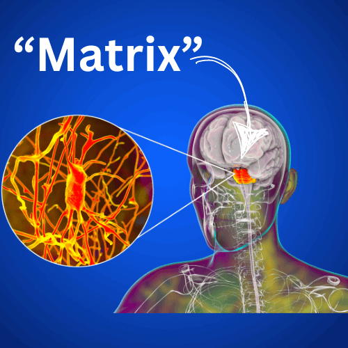 Millionaire Matrix Code